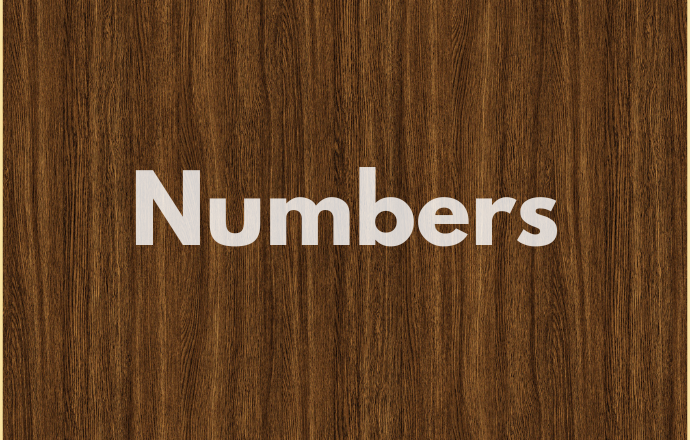 Search Remica catalog by numbers