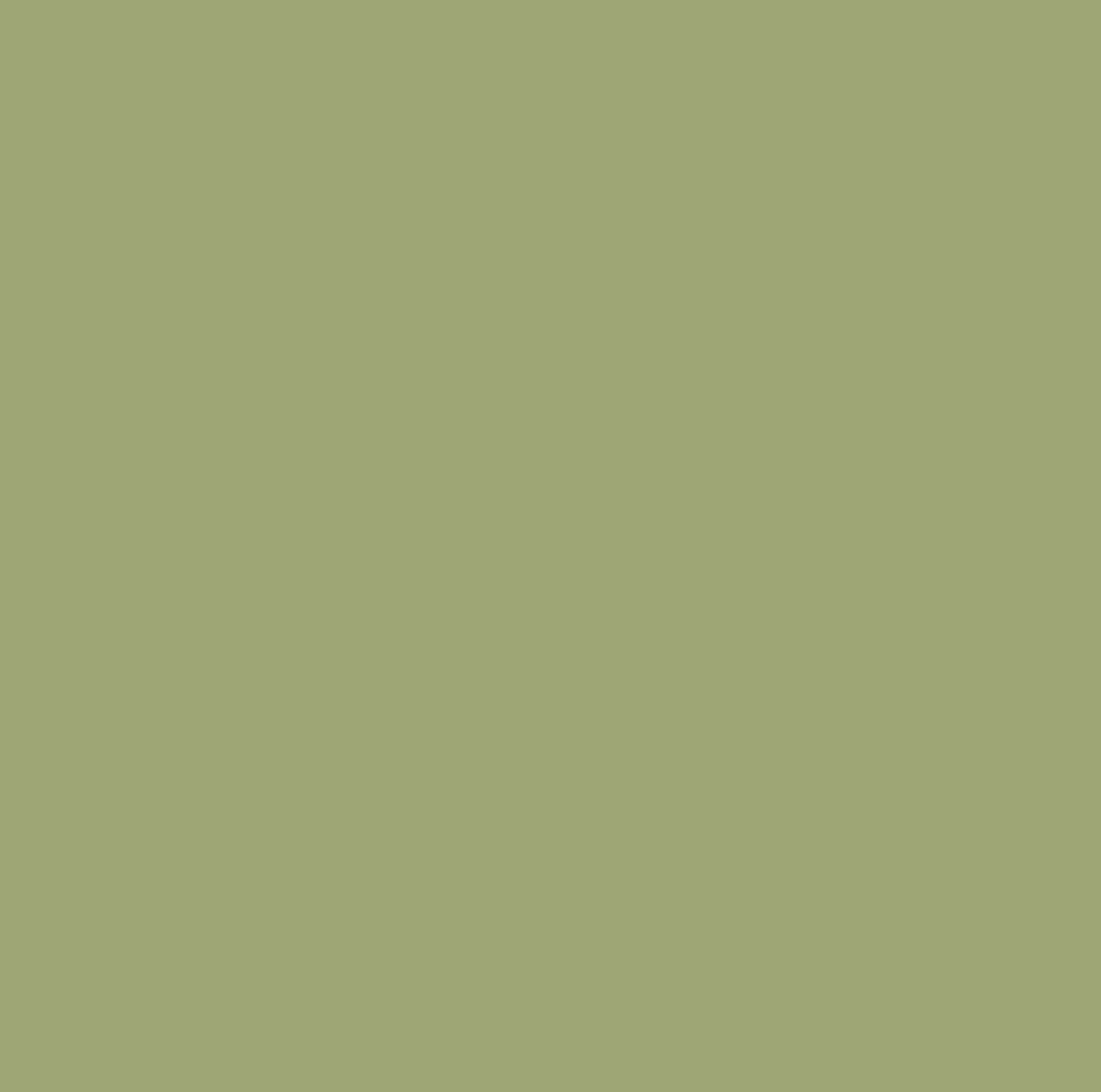 4007 Lichen