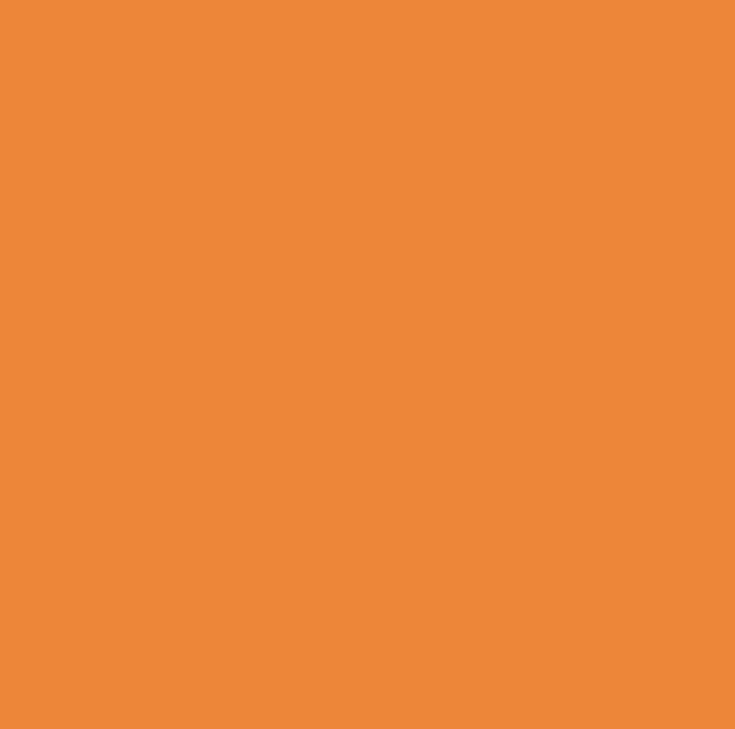 8210 Orange