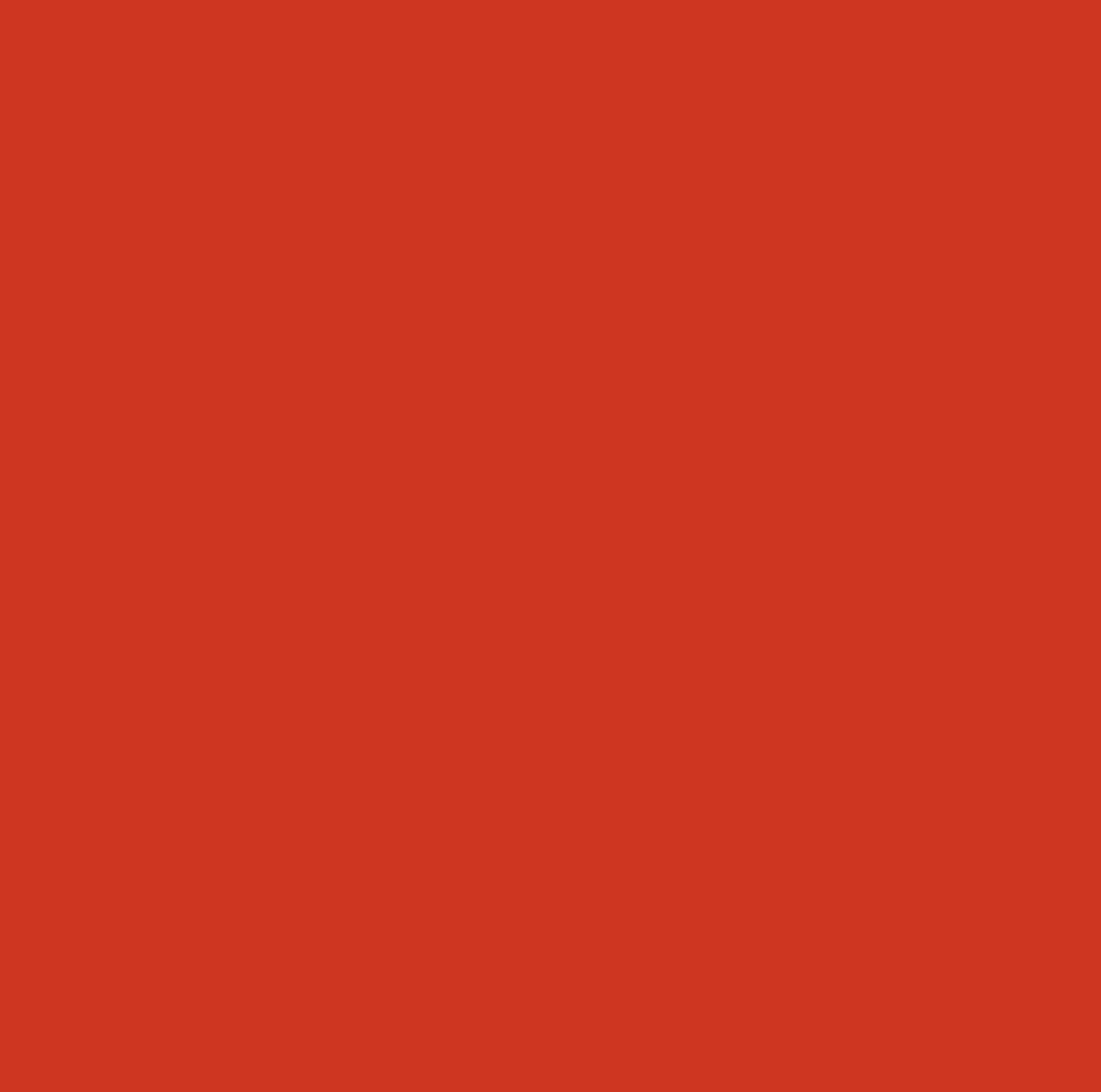 8238 Festivial Red