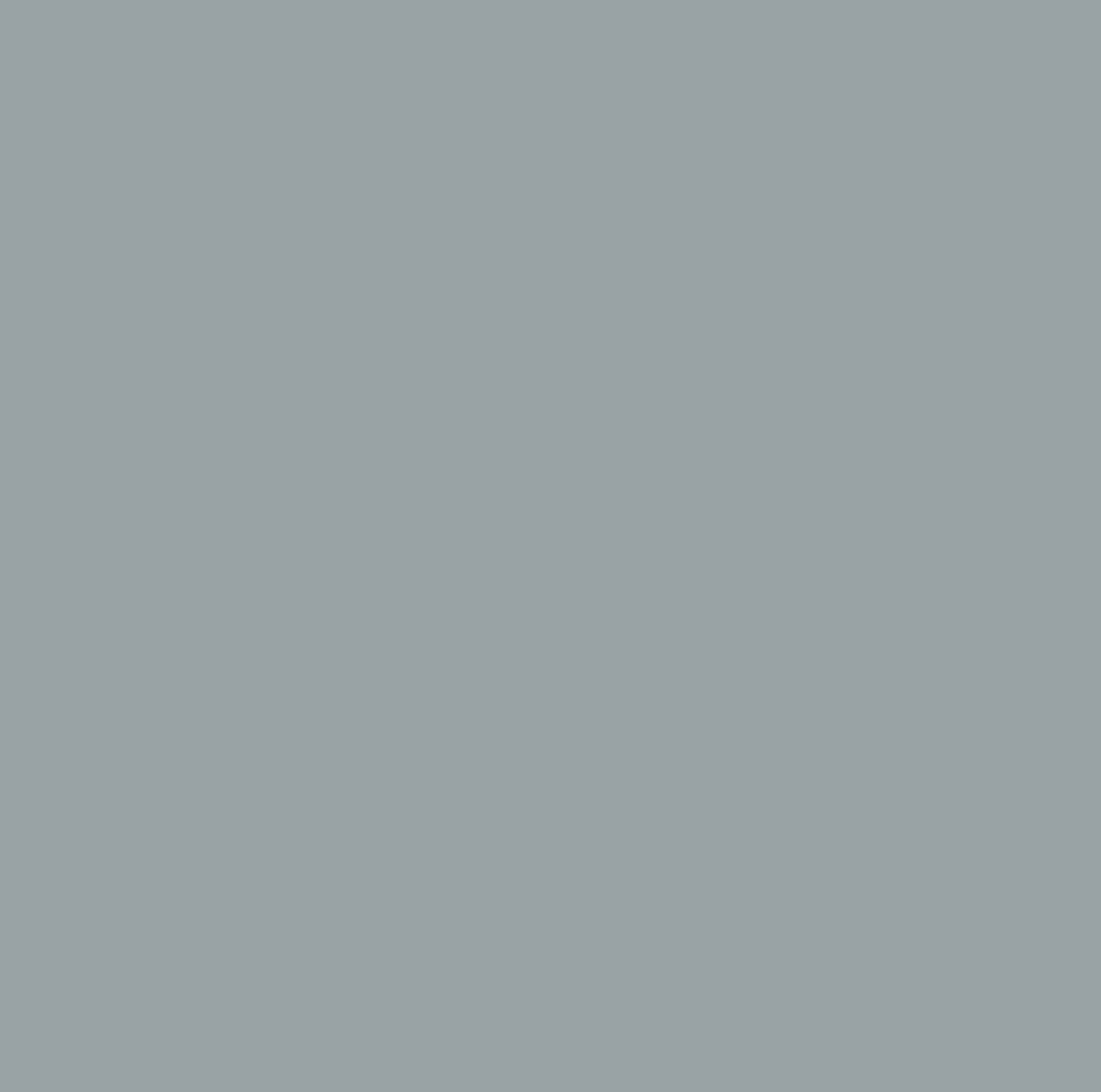 8462 Dove Grey