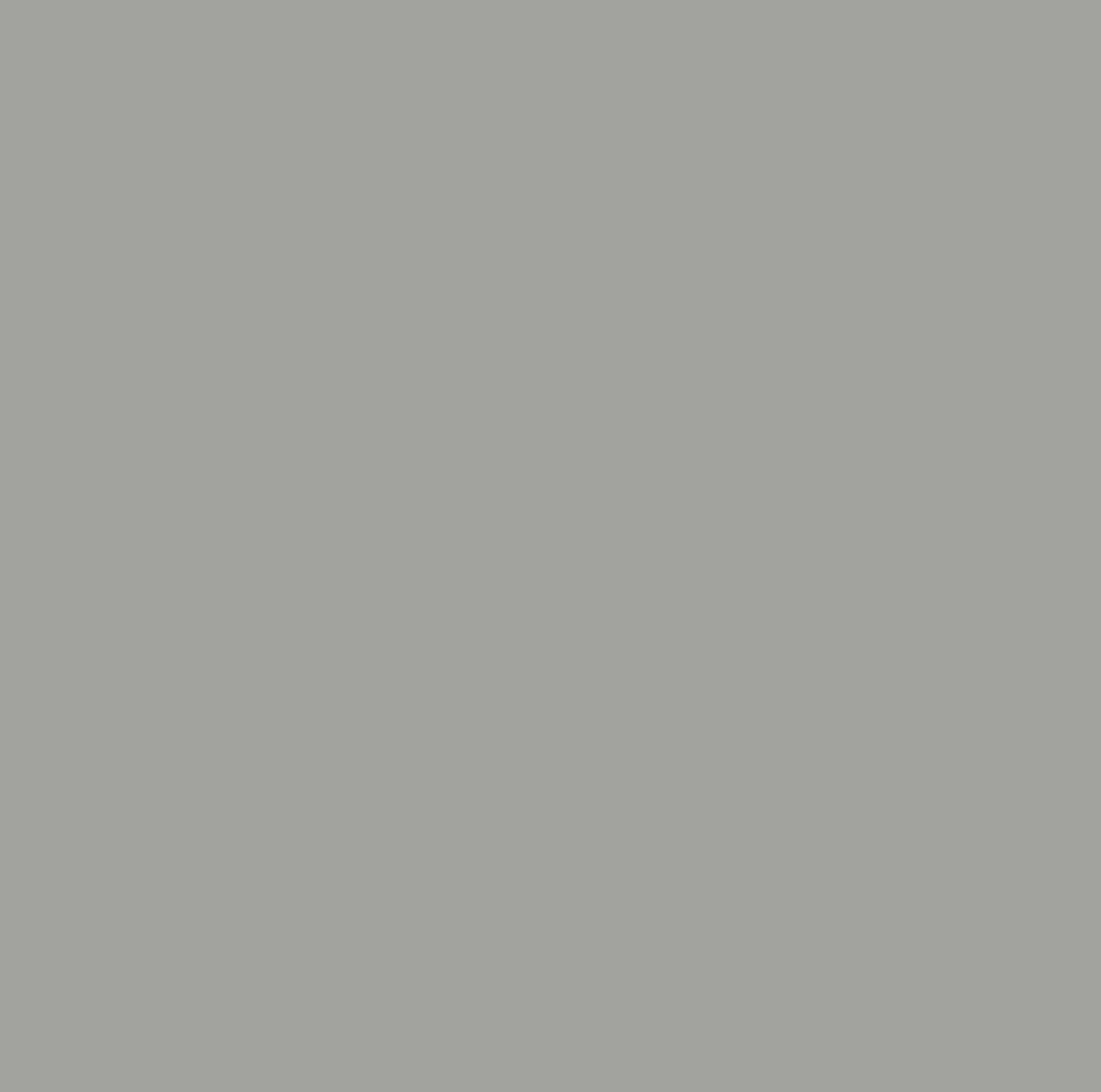 869S Grigio Alpaca