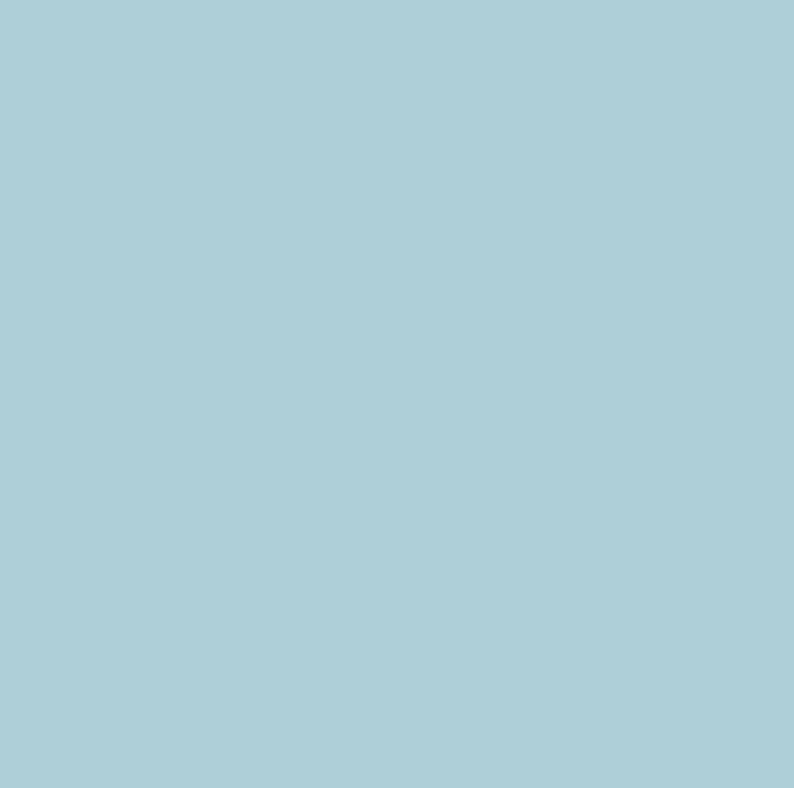 8880 Blue Whale