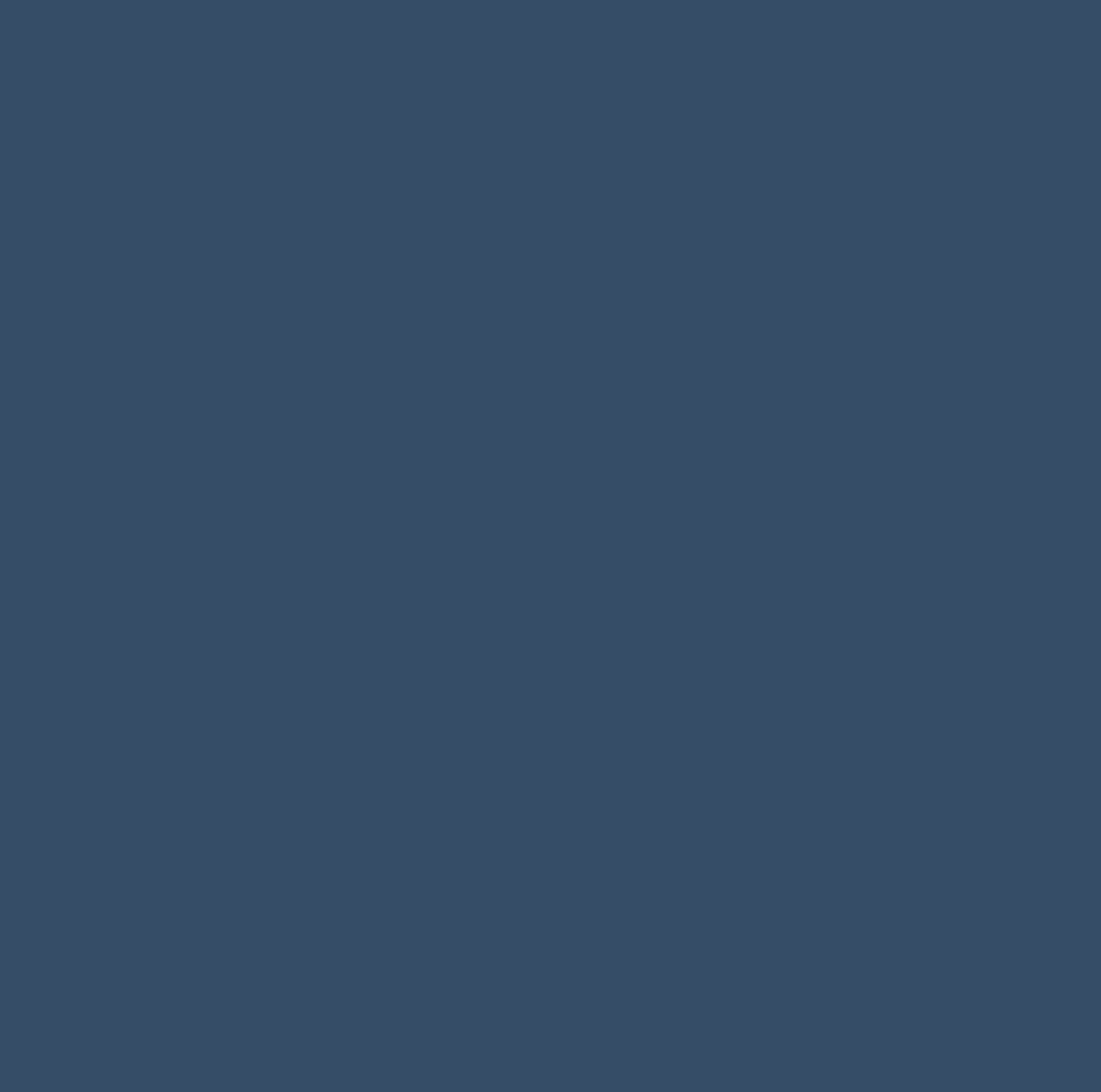 8969 Navy