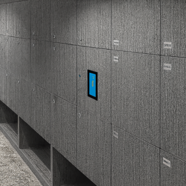 Public Locker Compact